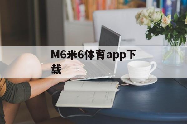 M6米6体育app下载